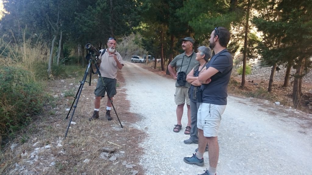 Monitoraggio Aquila