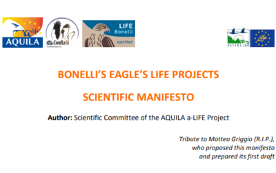 Il “Manifesto” dedicato ai progetti LIFE relativi all’ Aquila di Bonelli