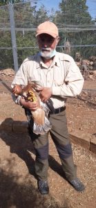 Staff member holds a young eagle