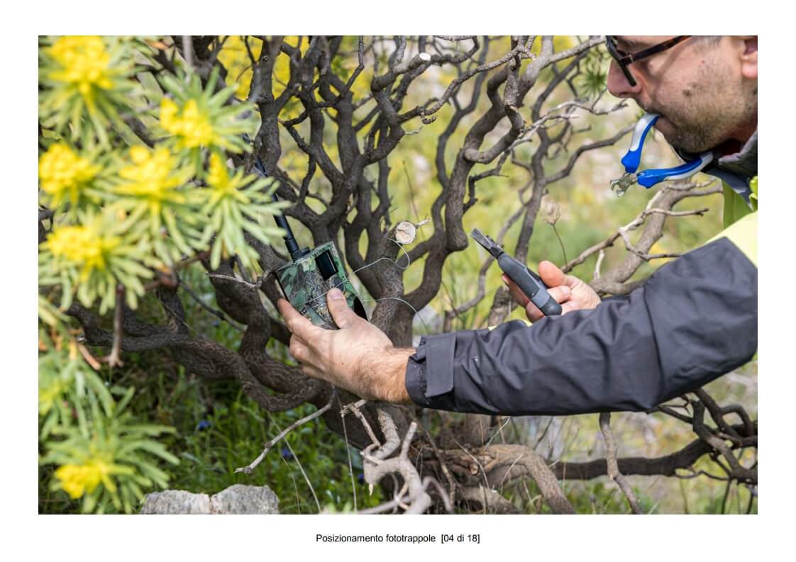 Positioning of camera traps - 04 of 18 (photo: Mathia Coco)