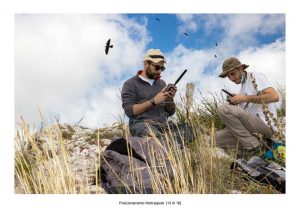 Positioning of camera traps - 13 of 18 (photo: Mathia Coco)