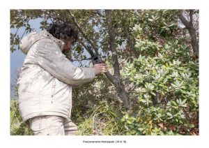 Positioning of camera traps - 16 of 18 (photo: Mathia Coco)