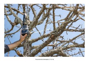 Positioning of camera traps - 17 of 18 (photo: Mathia Coco)